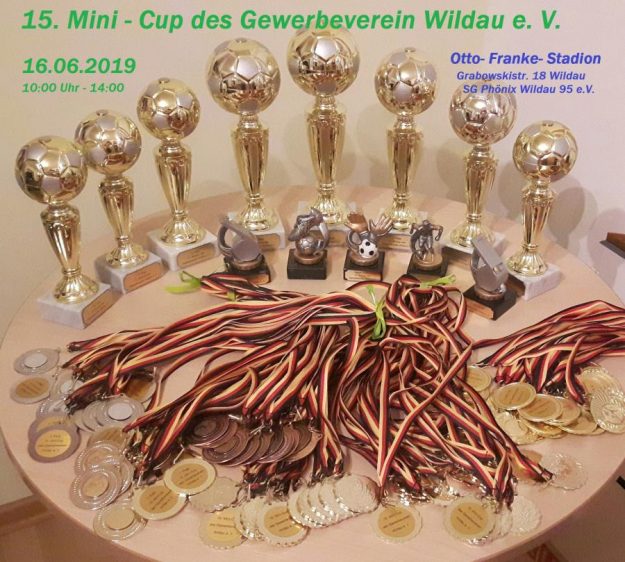 15. Minicup Fußballturnier Wildau