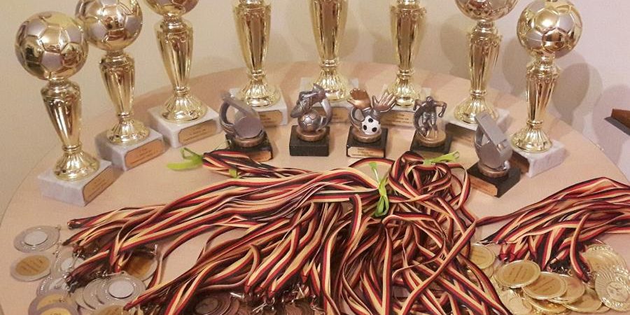 15. Minicup Fußballturnier Wildau